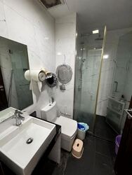 Suites @ Topaz (D12), Apartment #633321651